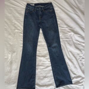GAP Dark Blue Flare Jeans
